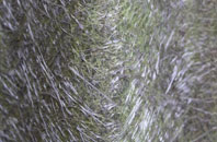 Red Ball fibreglass roof work